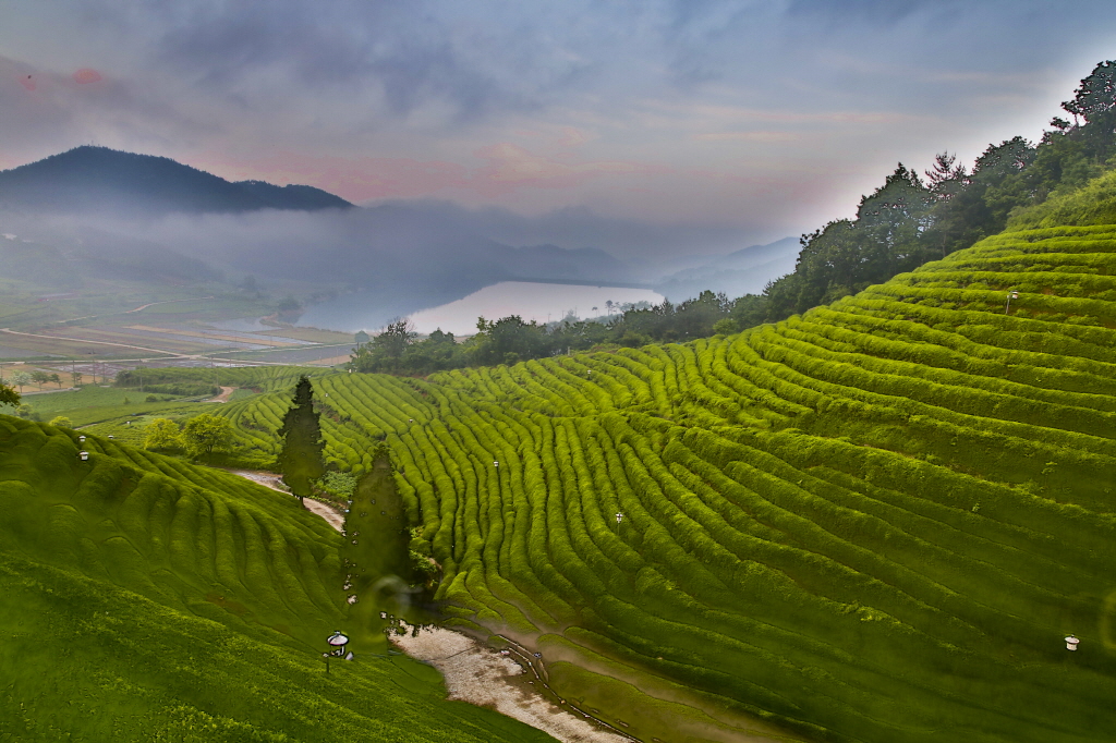 8caadb453a262efdc3e8f6cccd7d9903_1493370