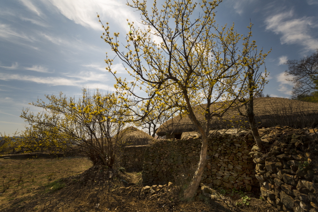 8caadb453a262efdc3e8f6cccd7d9903_1493370