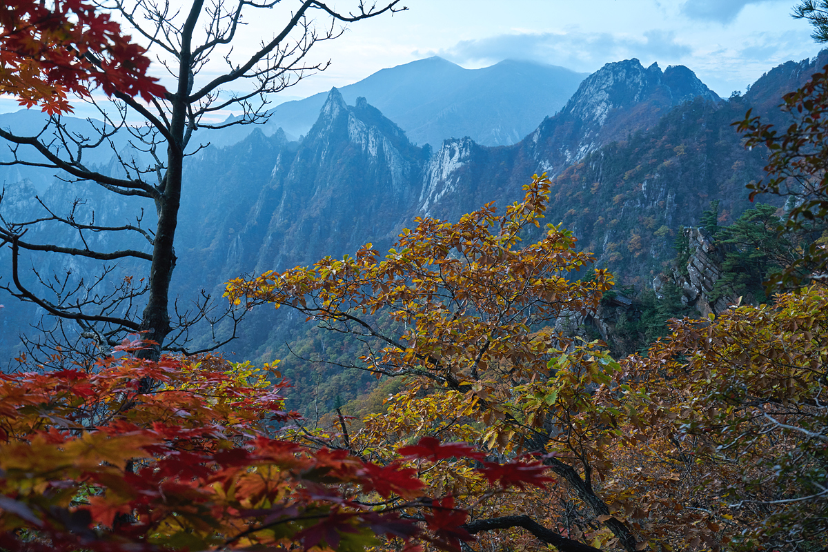 41ef1c3a83cc1ffa284f18e60a4791e2_1507558