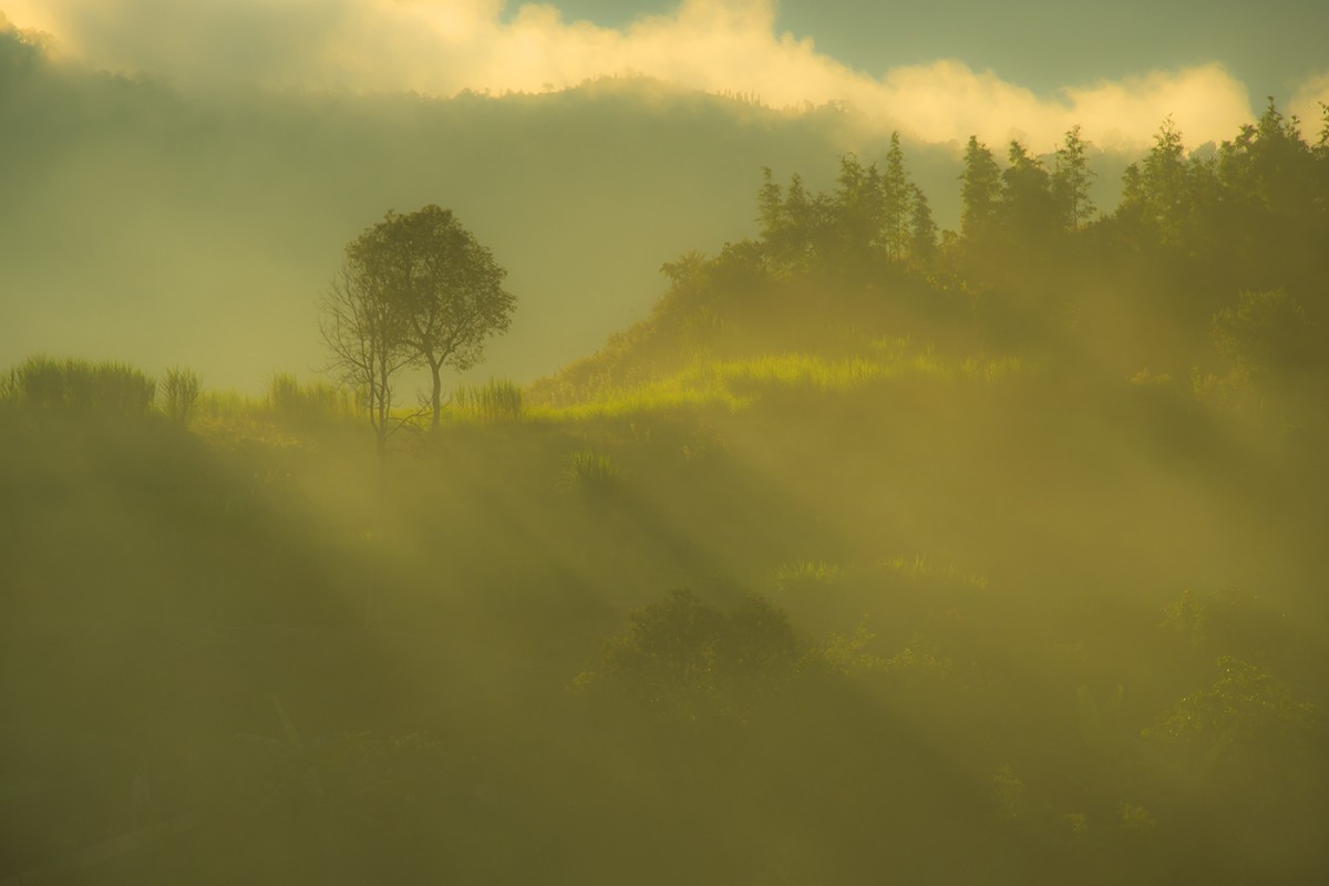 1412a1391cfbbabc1f69b314a07adb39_1509549