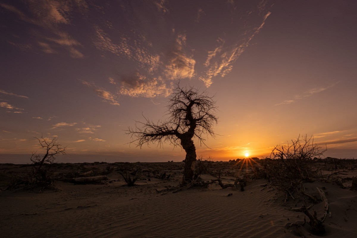 6c073f29dc24096ce121bef3559539dd_1735583