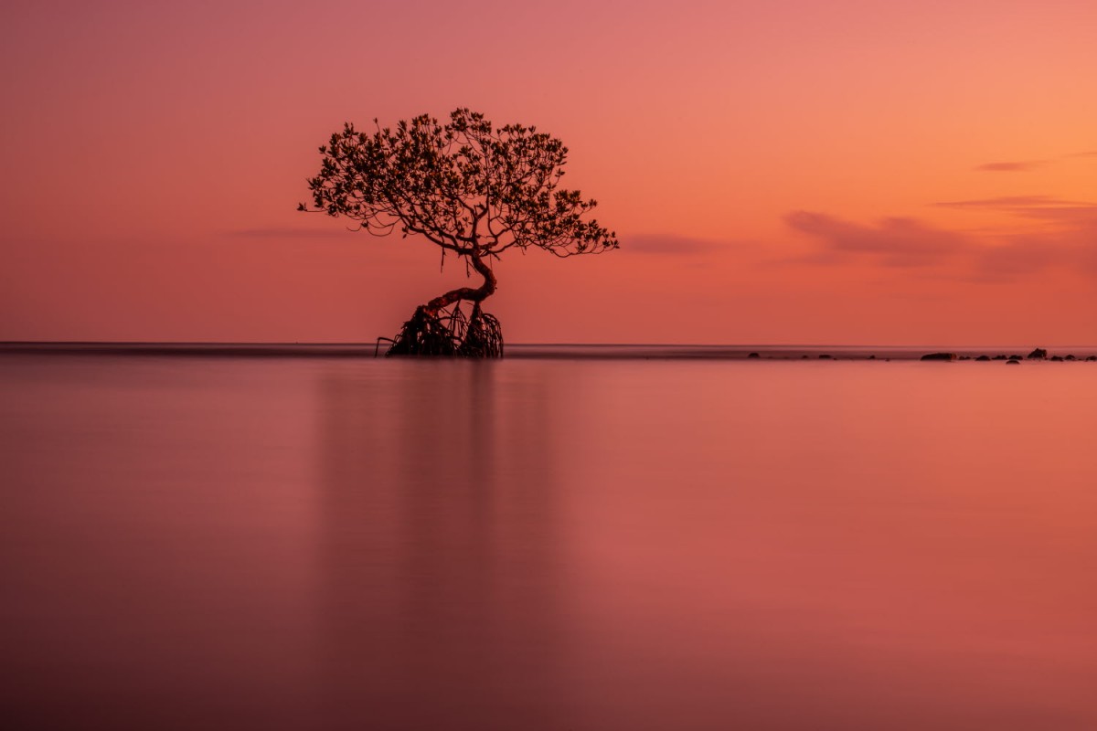 05fcbb20fd06a52b00221019f12f7649_1748886