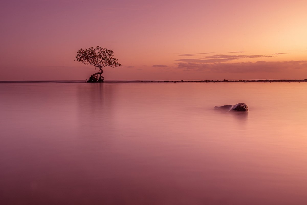 05fcbb20fd06a52b00221019f12f7649_1748886