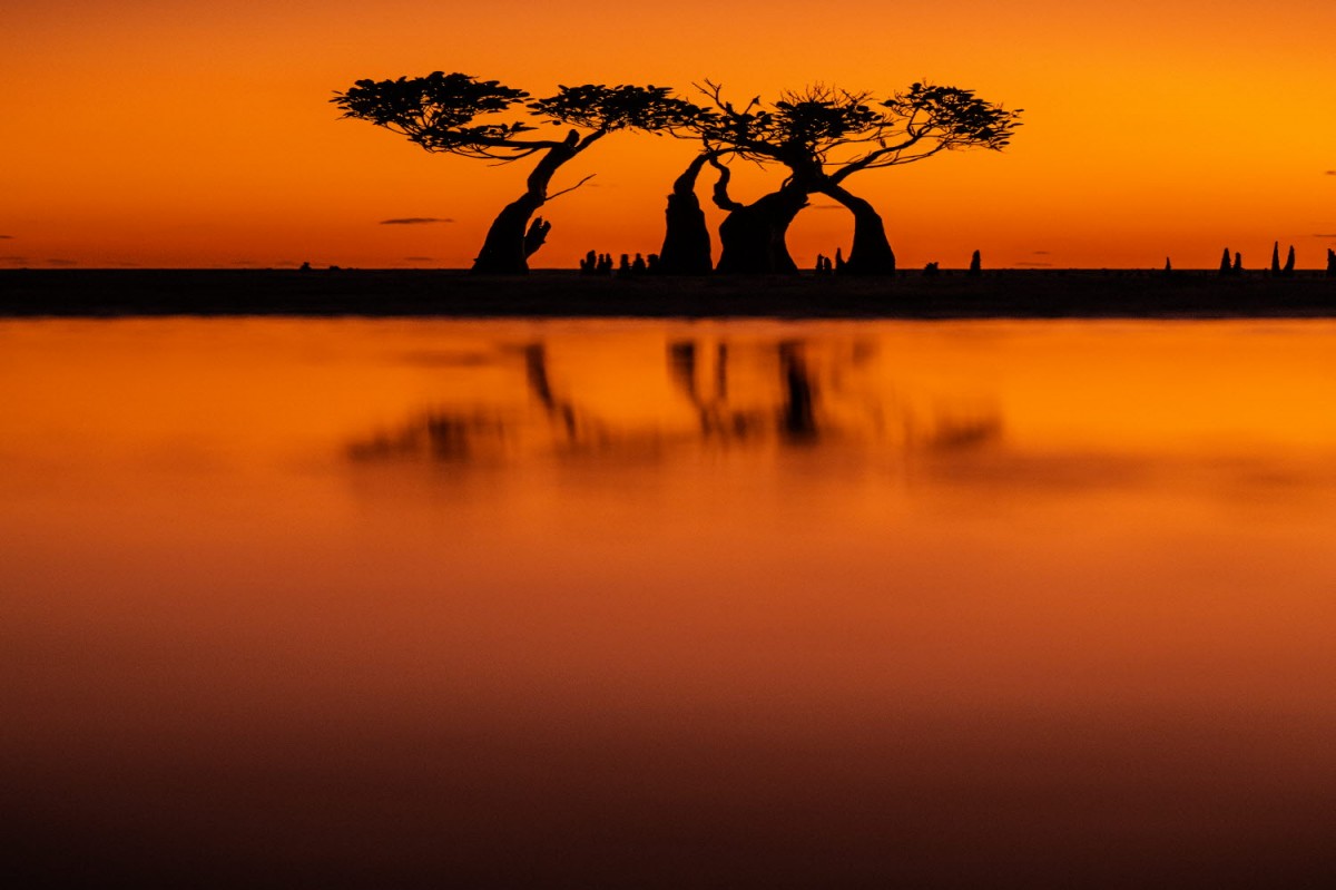 863a94c2c357a29b12cb3e5acceff1da_1751296