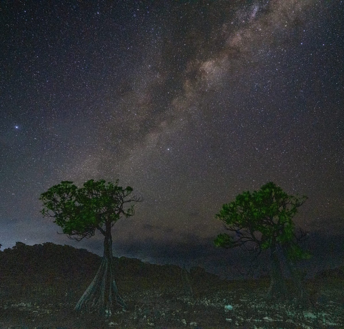 863a94c2c357a29b12cb3e5acceff1da_1751297