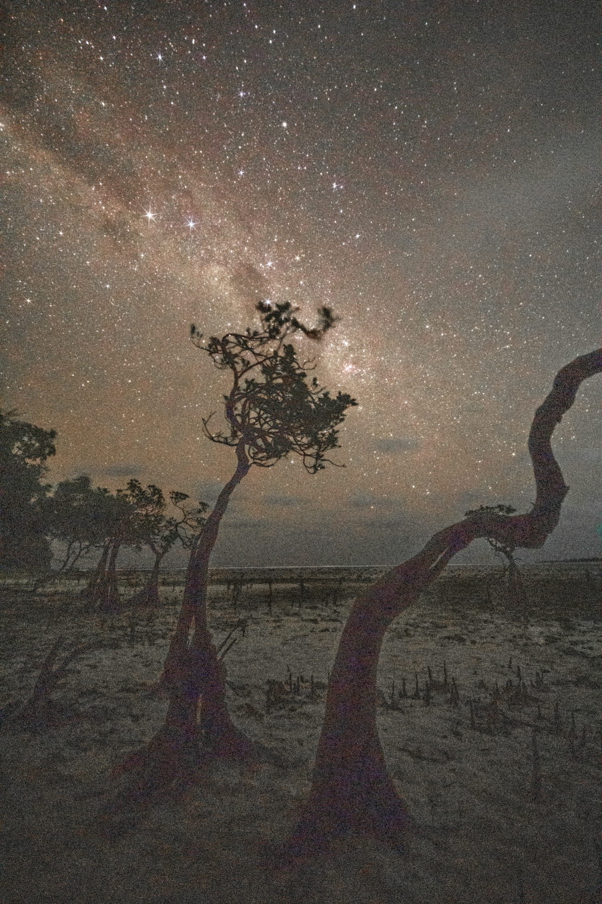 863a94c2c357a29b12cb3e5acceff1da_1751297