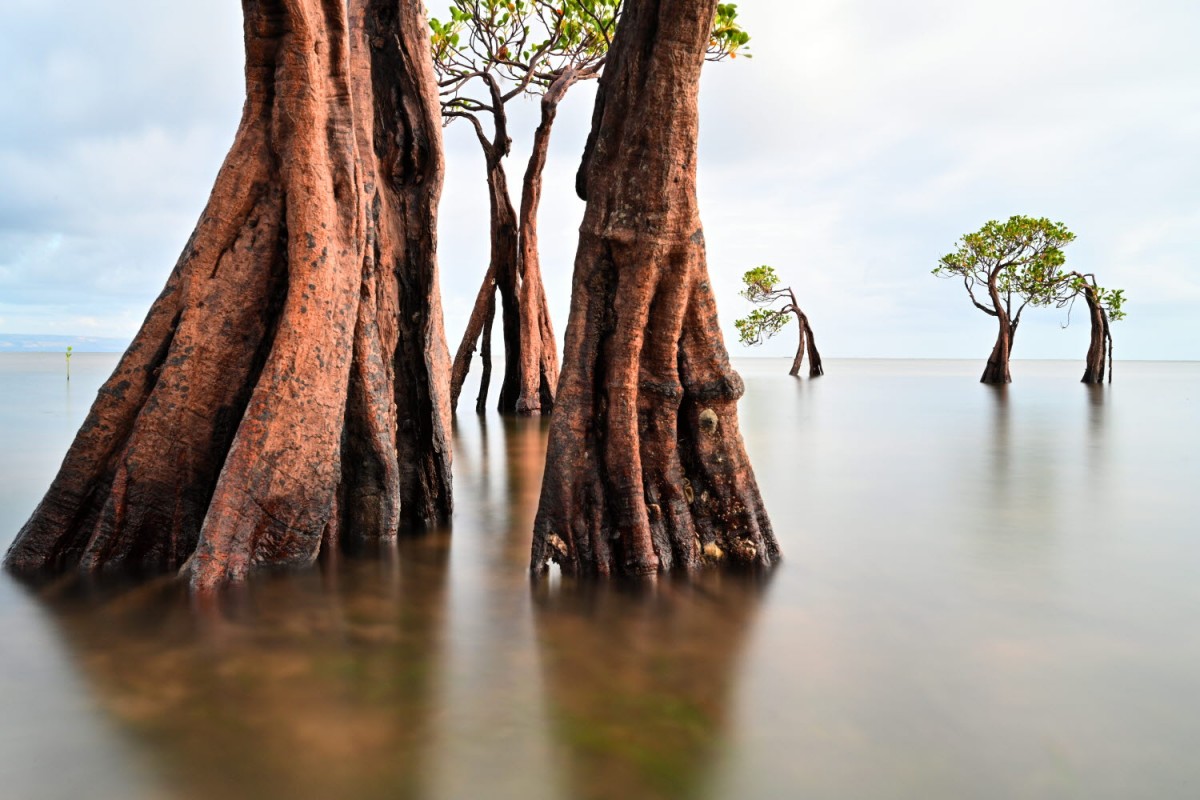 66e43706b64861e835326dbcfdfc9571_1759422