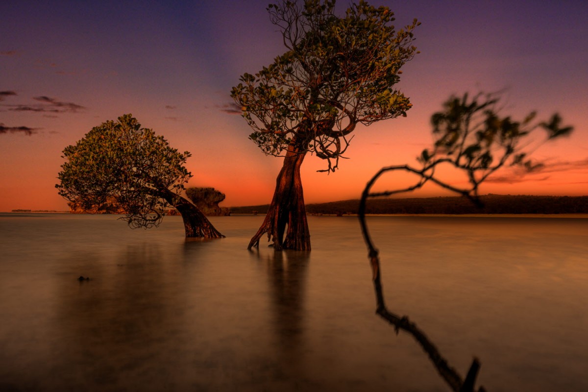 66e43706b64861e835326dbcfdfc9571_1759437