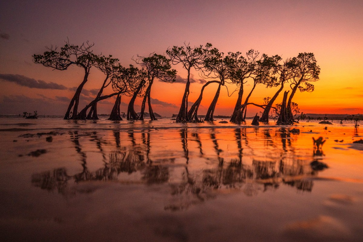 66e43706b64861e835326dbcfdfc9571_1759437