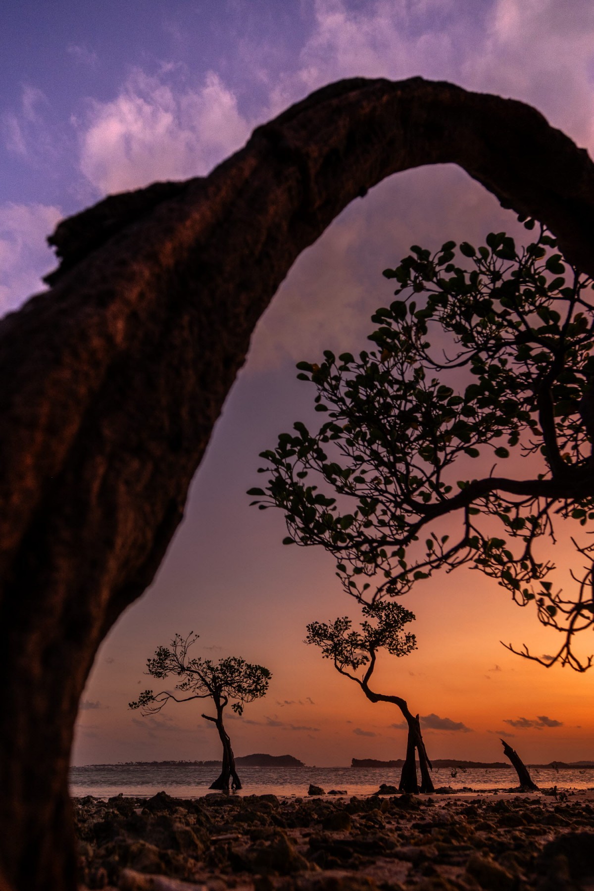 66e43706b64861e835326dbcfdfc9571_1759437