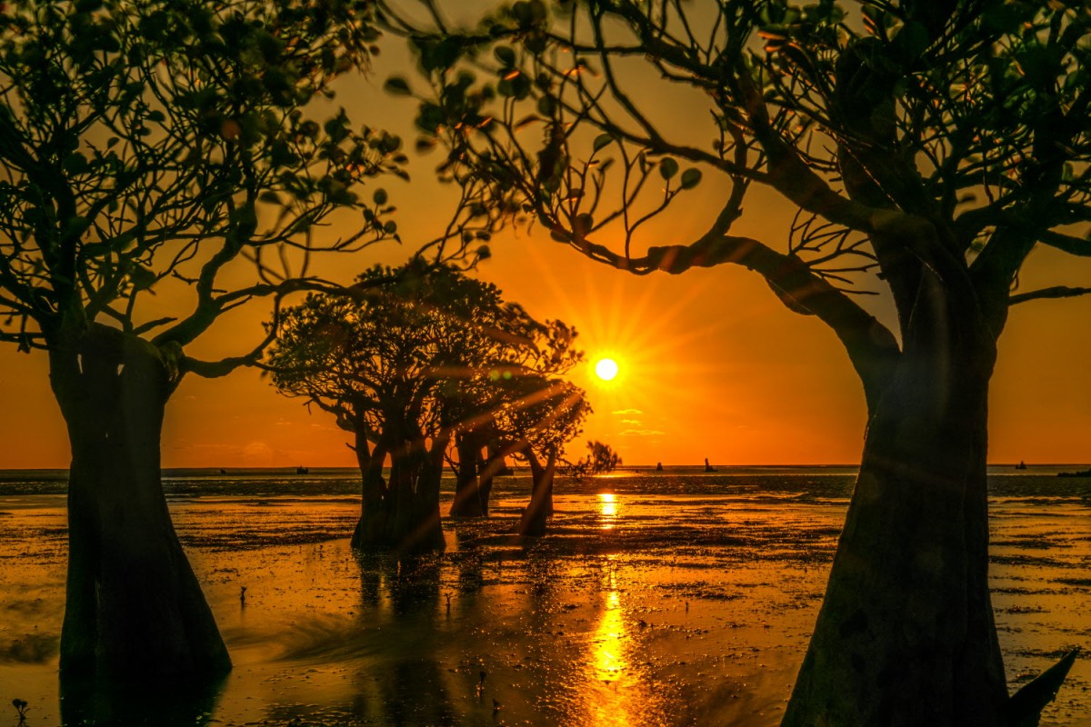 66e43706b64861e835326dbcfdfc9571_1759437