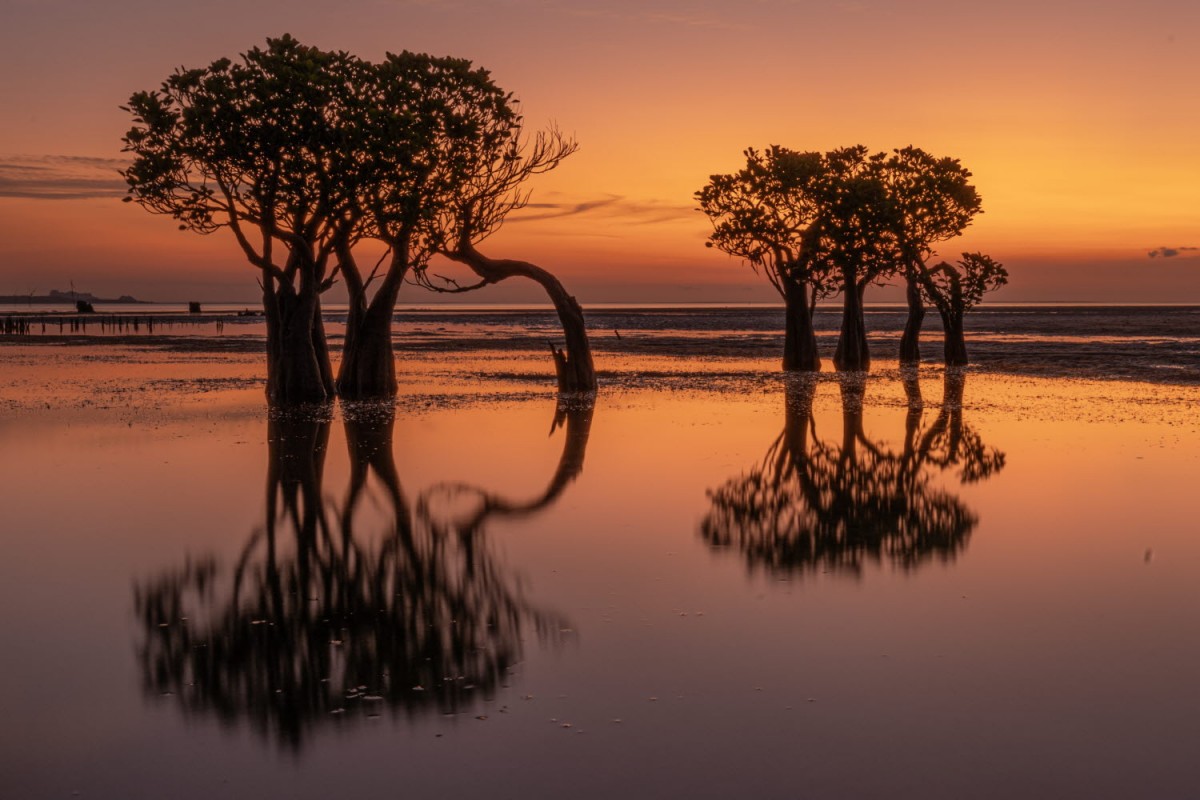 66e43706b64861e835326dbcfdfc9571_1759437