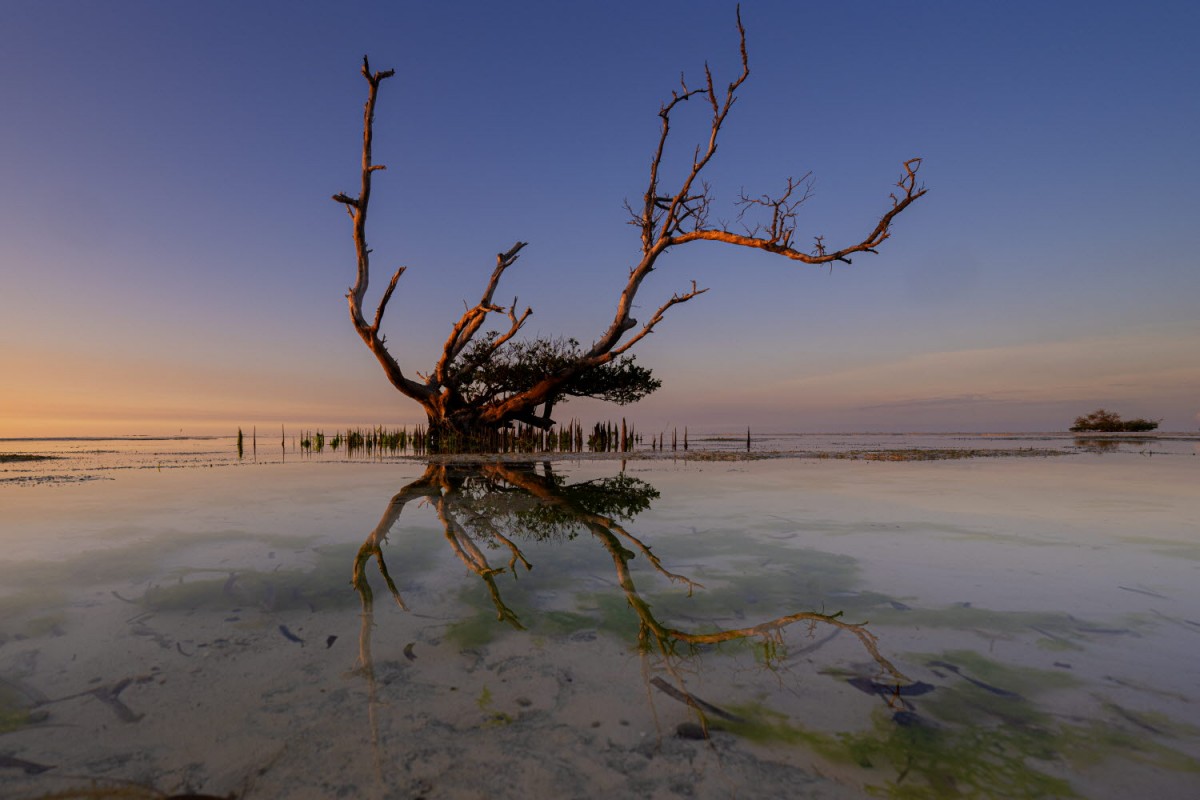 66e43706b64861e835326dbcfdfc9571_1759437