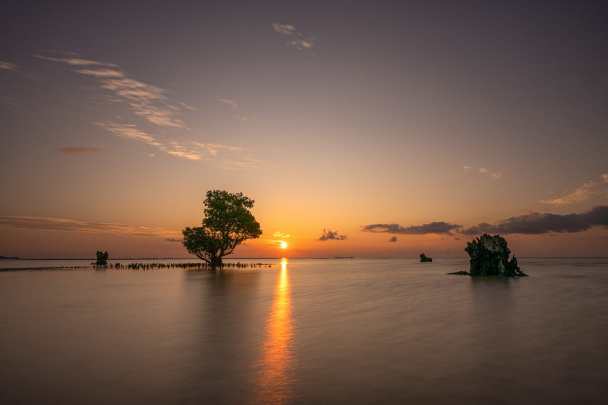 66e43706b64861e835326dbcfdfc9571_1759437