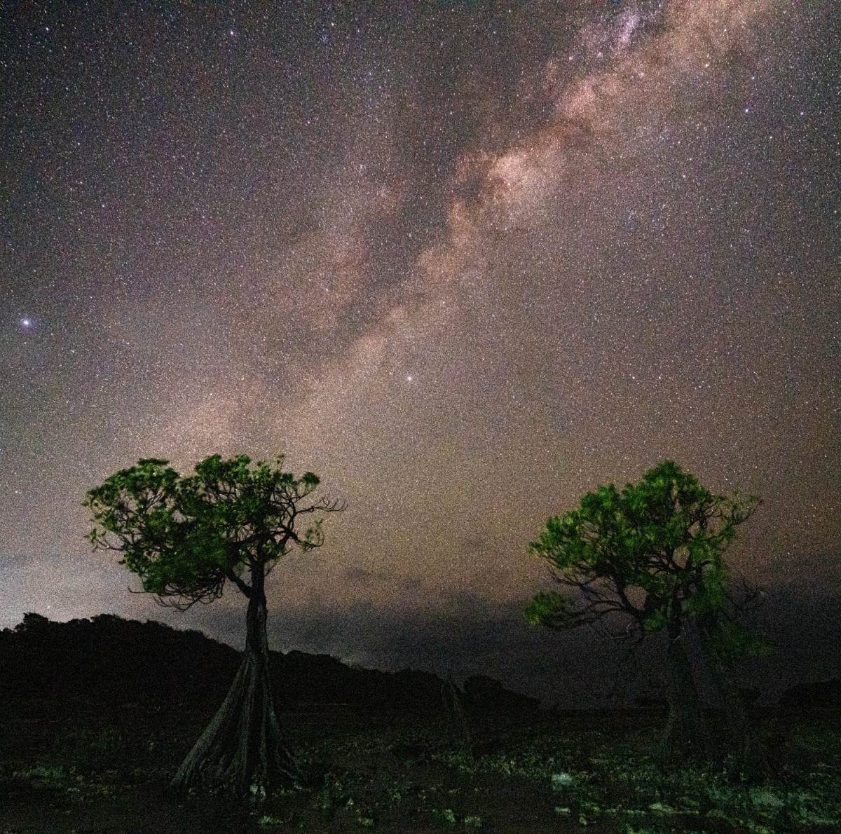 66e43706b64861e835326dbcfdfc9571_1759437