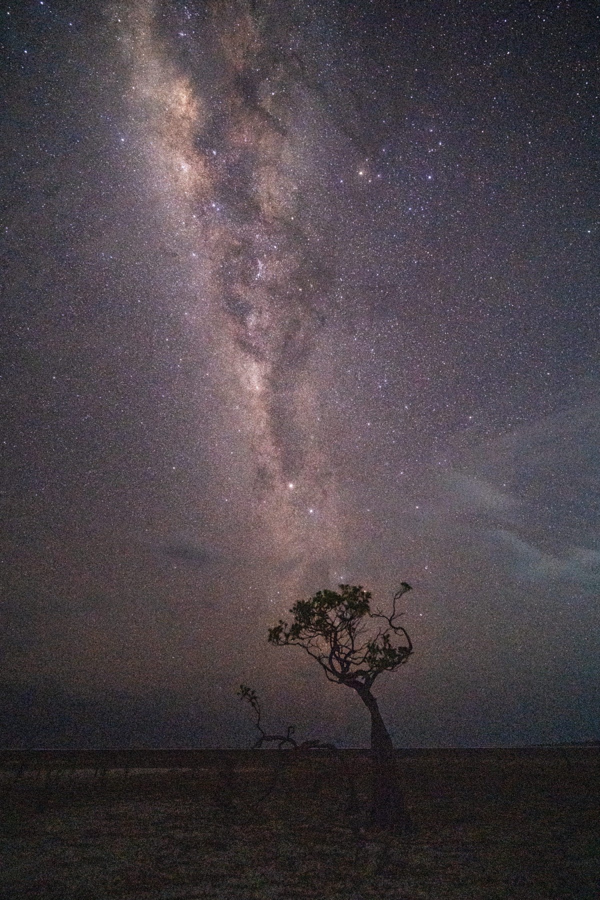 66e43706b64861e835326dbcfdfc9571_1759437