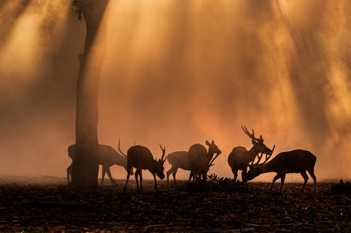 a899c22b7665293c0961f218f8e5df9a_1759496