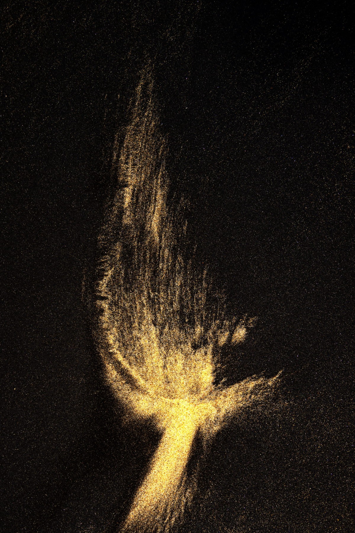 a899c22b7665293c0961f218f8e5df9a_1759502