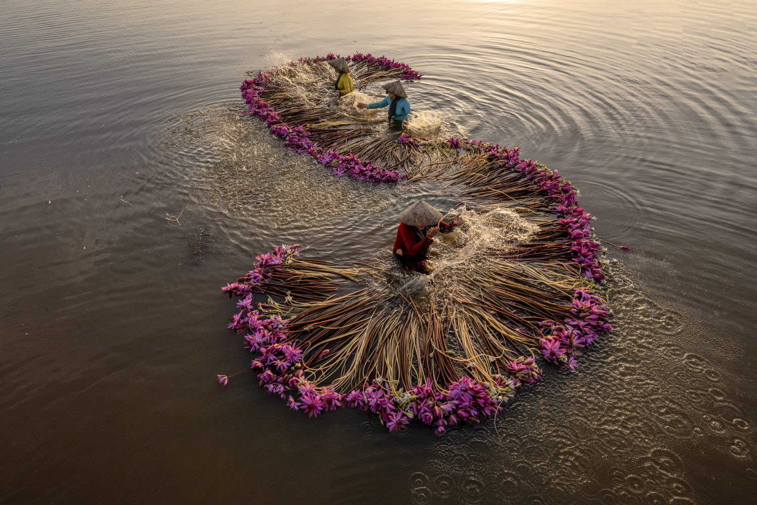 4ba9f169a7cd41ecad88e95d958c84ae_1763551