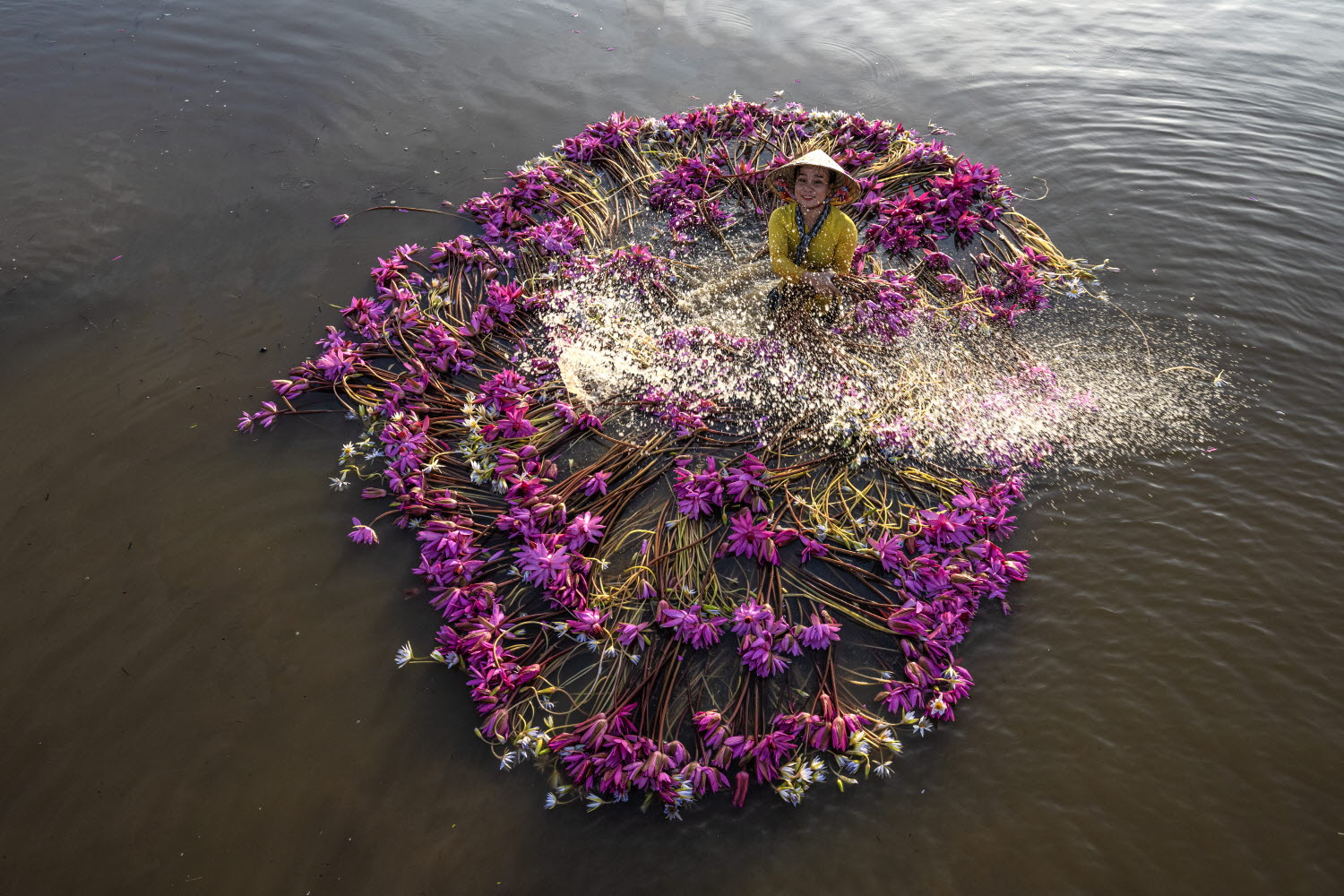 4ba9f169a7cd41ecad88e95d958c84ae_1763551