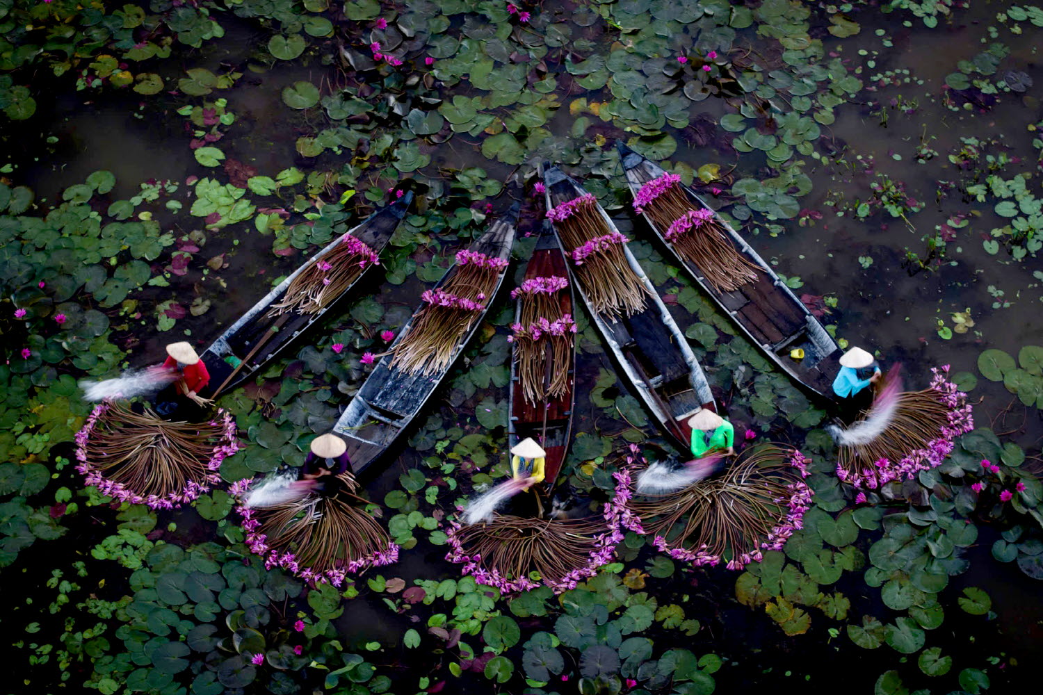 4ba9f169a7cd41ecad88e95d958c84ae_1763551