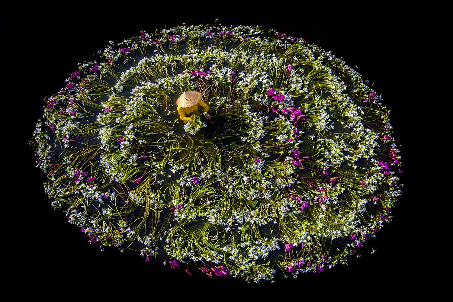 4ba9f169a7cd41ecad88e95d958c84ae_1763551