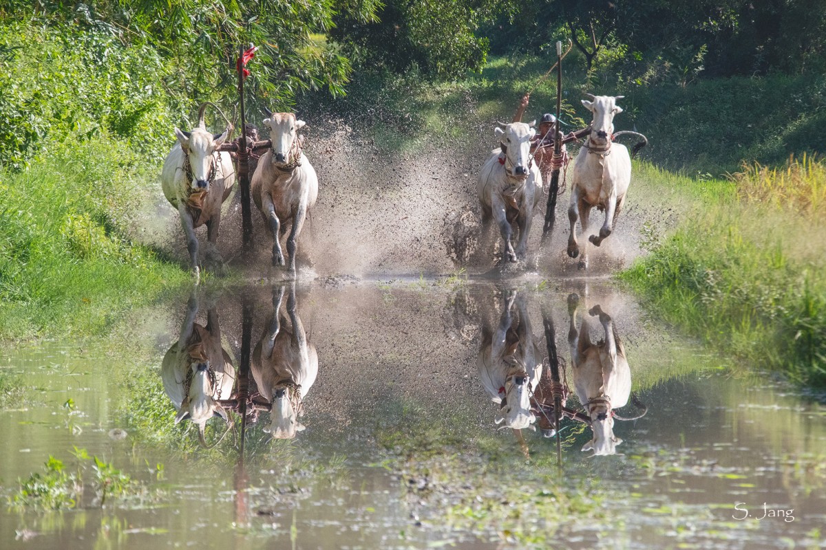 bdf7704f85228f9f0a0b3e61381698a5_1764684