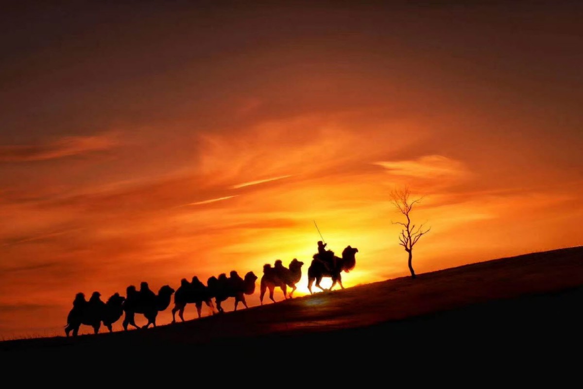 76b63a5c087bf0f90a562478afb0f484_1772471