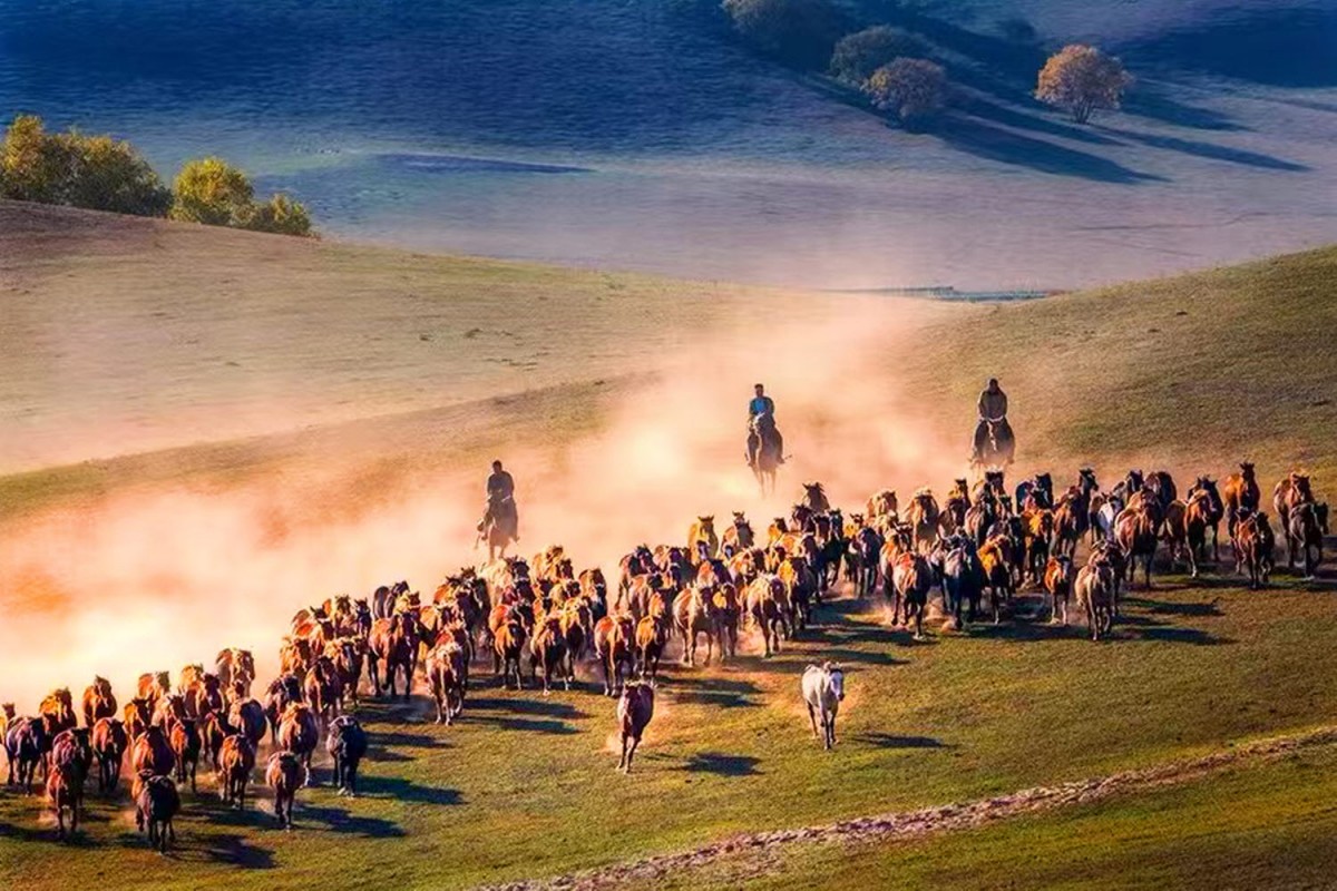 76b63a5c087bf0f90a562478afb0f484_1772471