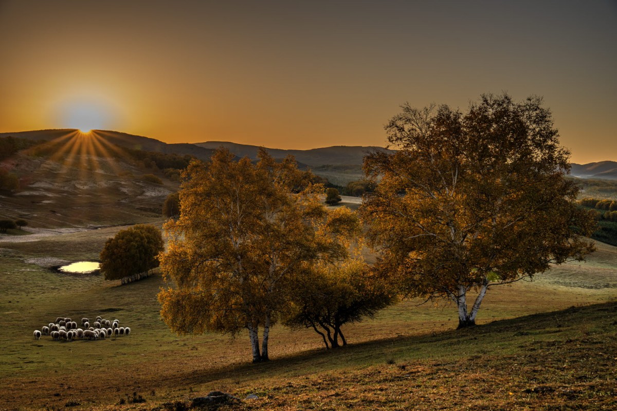 76b63a5c087bf0f90a562478afb0f484_1772471