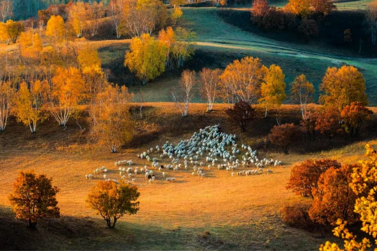 76b63a5c087bf0f90a562478afb0f484_1772471