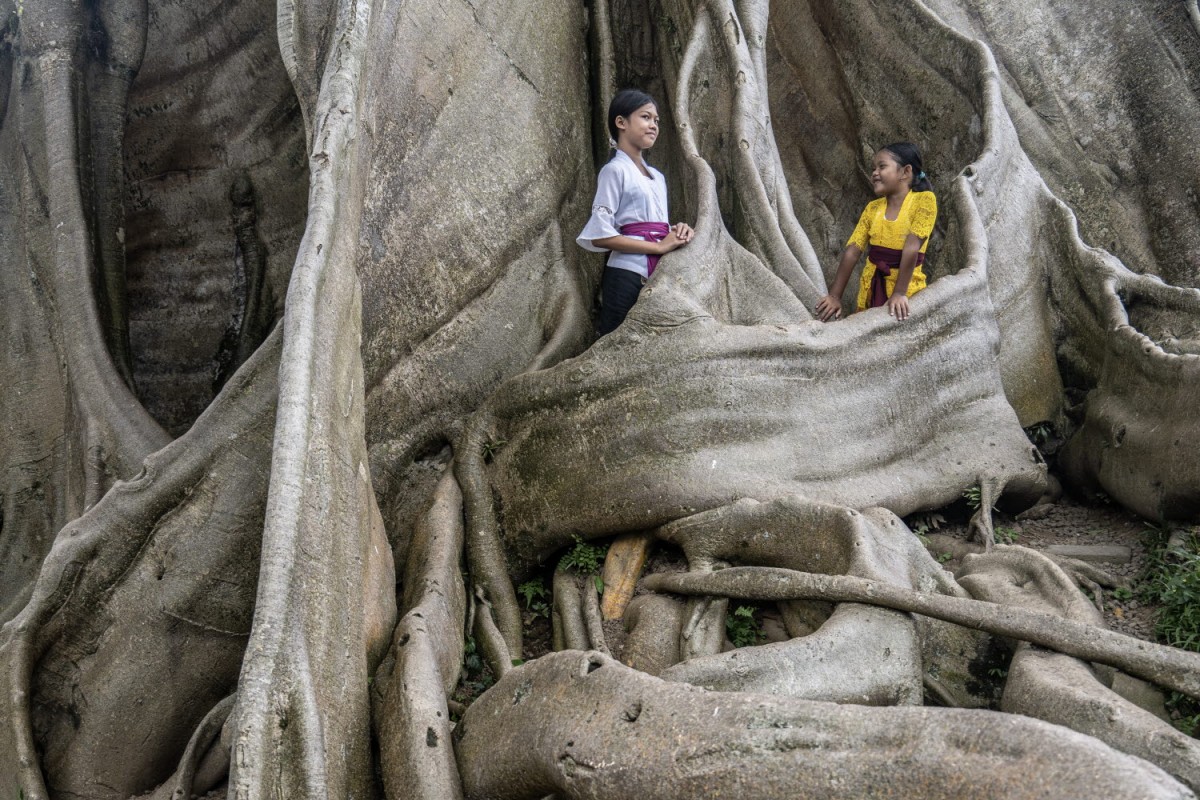 8f49cb61e20378edba53a8198f19c7e6_1772309